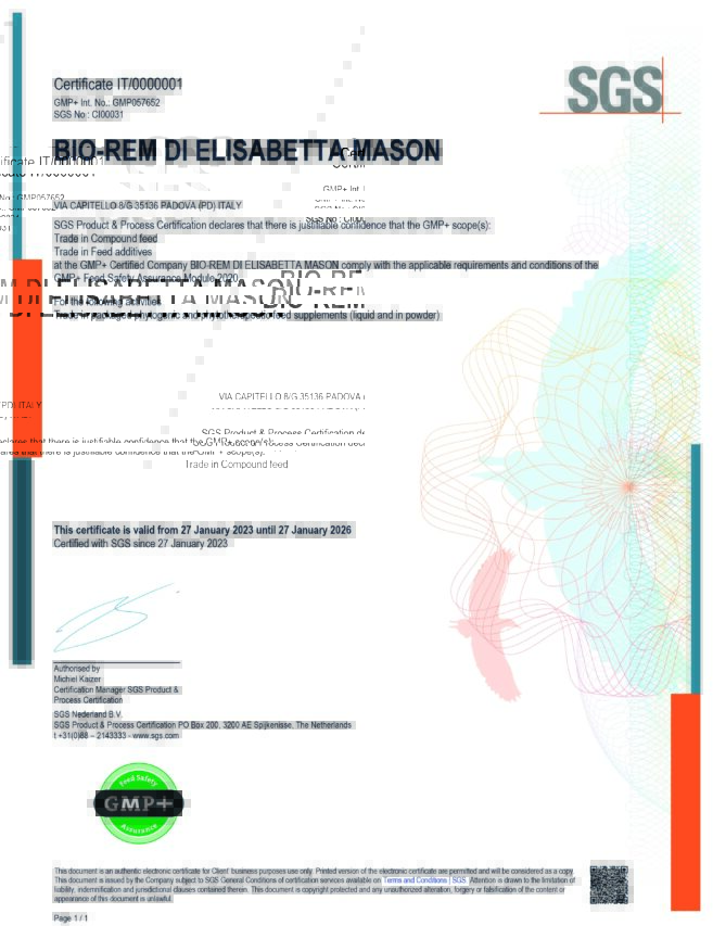 GenericCertificate_GmpPlus_Fsc Certificate GMP+ Int. for quality and food safety